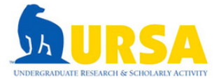 Undergraduate Research and Scholarly Activity