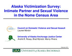 Alaska Victimization Survey: Intimate Partner and Sexual Violence in the Nome Census Area by Morton, André B. Rosay, Brad A. Myrstol, and Marny Rivera
