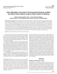 Safe, Affordable, Convenient: Environmental Features of Malls and Other Public Spaces Used by Older Adults for Walking. by Diane King