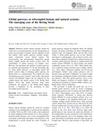 Global gateways as telecoupled human and natural systems: The emerging case of the Bering Strait by Jennifer Schmidt