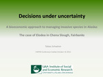 Decisions Under Uncertainty by Tobias Schwörer