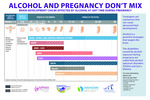 Women's Health Nurses and Midwives Collaborative for Alcohol-Free Pregnancy Infographics by Diane King, Alexandra Edwards, and Oliver Smith