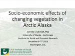 Socio-economic effects of changing vegetation in Arctic Alaska by Jennifer Schmidt