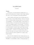 Local Government Modeling Work Plan by Oliver Scott Goldsmith
