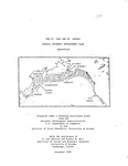 The St. Paul and St. George Overall Economic Development Plan by Lee Gorsuch and Teresa Hull
