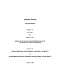 Mineral Mining Sector Report by Eric Larson and Bradford Tuck