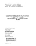 Northeast Asia: Outlook For Natural-Gas Sales and Independent Power Producers by Arlon Tussing and Ronald Ripple