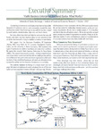 Viable Business Enterprises for Rural Alaska: What Works? by Sharman Haley, Ginny Fay, Jane Angvik, and Cami Woolam