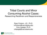 Tribal Courts and Minor Consuming Alcohol Cases: Researching Recidivism and Responsiveness by Ryan Fortson and Cory R. Lepage