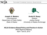 Researcher-Practitioner Partnerships to Impact Sexual Assault and Domestic Violence Policy by Joseph A. Masters and André B. Rosay