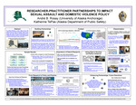 Researcher-Practitioner Partnerships to Impact Sexual Assault and Domestic Violence Policy by André B. Rosay and Katherine H. TePas