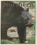 Northern Light, August 23, 1999 by N/A N/A