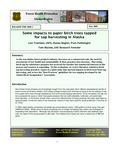 Some impacts to paper birch trees tapped for sap harvesting in Alaska by Lori Trummer and Tom Malone