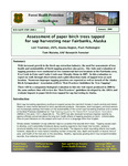 Assessment of paper birch trees tapped for sap harvesting near Fairbanks, Alaska by Lori Trummer and Tom Malone