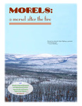 Morels: a morsel after the fire by N/A N/A