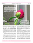 Peonies for field cut flower production by Patricia S. Holloway, Janice T. Hanscom, and Grant E.M. Matheke