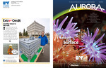 Aurora Vol. 01 No. 1 (Fall 2008) by N/A N/A