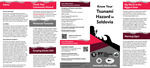 Know Your Tsunami Hazard in Seldovia by Beth Grassi, Owen Larson, Matt Mockaitis, Dmitry Nicolsky, and Elena Troshina