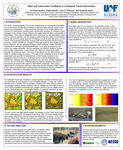 Water and Land-surface Feedbacks in a Polygonal Tundra Environment by W. Robert Bolton, Robert Busey, Larry D. Hinzman, and Scott Peckham