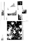 Now in the North, Vol. 11, No. 2 (April 1981) by N/A N/A