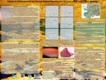 Effects of Ichythyophonus on Chinook Salmon Reproductive Success in the Yukon River Draining by Theresa Floyd