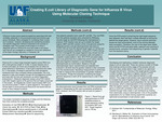 Creating E.coli Library of Diagnostic Gene for Influenza B Virus Using Molecular Cloning Technique by Oyunsuvd Chinbat