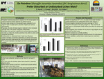 Do Reindeer (Rangifer tarandus tarandus) (M. longissimus dorsi) Prefer Disturbed or Undisturbed Lichen Mats? by Emily Garrett, G. Finstad, B. Griffith, and D. A. Walker