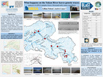 What happens on the Yukon River leaves genetic traces; analysis of eDNA samples from a thousand-mile canoe expedition by Lillian Nelson and J. Andres Lopez