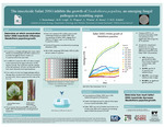 The insecticide Safari 20SG inhibits the growth of Neodothiora populina, an emerging fungal pathogen in trembling aspen by Josephine Beauchamp, Schuette Ursel, Mary Beth Leigh, Diane Wagner, and L Winton