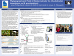 Phylogeography and Ploidy of Alaskan Labrador Tea (Rhododendron tomentosum and R. groenlandicum) by Denali Crawford, James Phillips, and Naoki Takebayashi