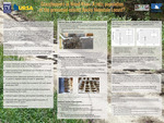 Grasshoppers in Wood River: A relic population of the presumed extinct Rocky Mountain Locust? by Luke Lawson and Derek Sikes