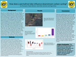 How does a permafrost lake influence downstream carbon cycling? by Iva Thomason, Paige Kehoe, and Sarah Ellen Johnston