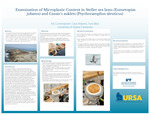 Examination of Microplastic Content in Steller sea lions (Eumetopias jubatus) and Cassin’s auklets (Ptychoramphus aleuticus) by Tyra Best and Cara Roberts