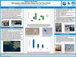 Microplastics in Bearded Seal Tissues Harvested in the Early 2000s and Recent Years by Linnaea Doerner