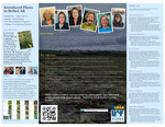 Introduced Plants in Bethel, Alaska by Lissa Kramer