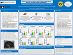 Mitochondrial succinate dehydrogenase enzyme activity in hibernating black bears by Madelyn Brennan