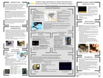 Research design optimization for determining hibernation and spring emergence of Little Brown Bats (Myotis lucifugus) by Chelsea Wettroth