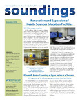 Soundings 2010-11 by N/A N/A