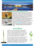 The Level 2024-04 by Christena Leamer, Nathan Leigh, Kristin Reynolds, Adam Zenger, Heather Trimble, David Lendrum, Andie Scharen, Mardis Buness, and Dana Wade